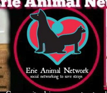 CAT Poetry - Erie Animal Network