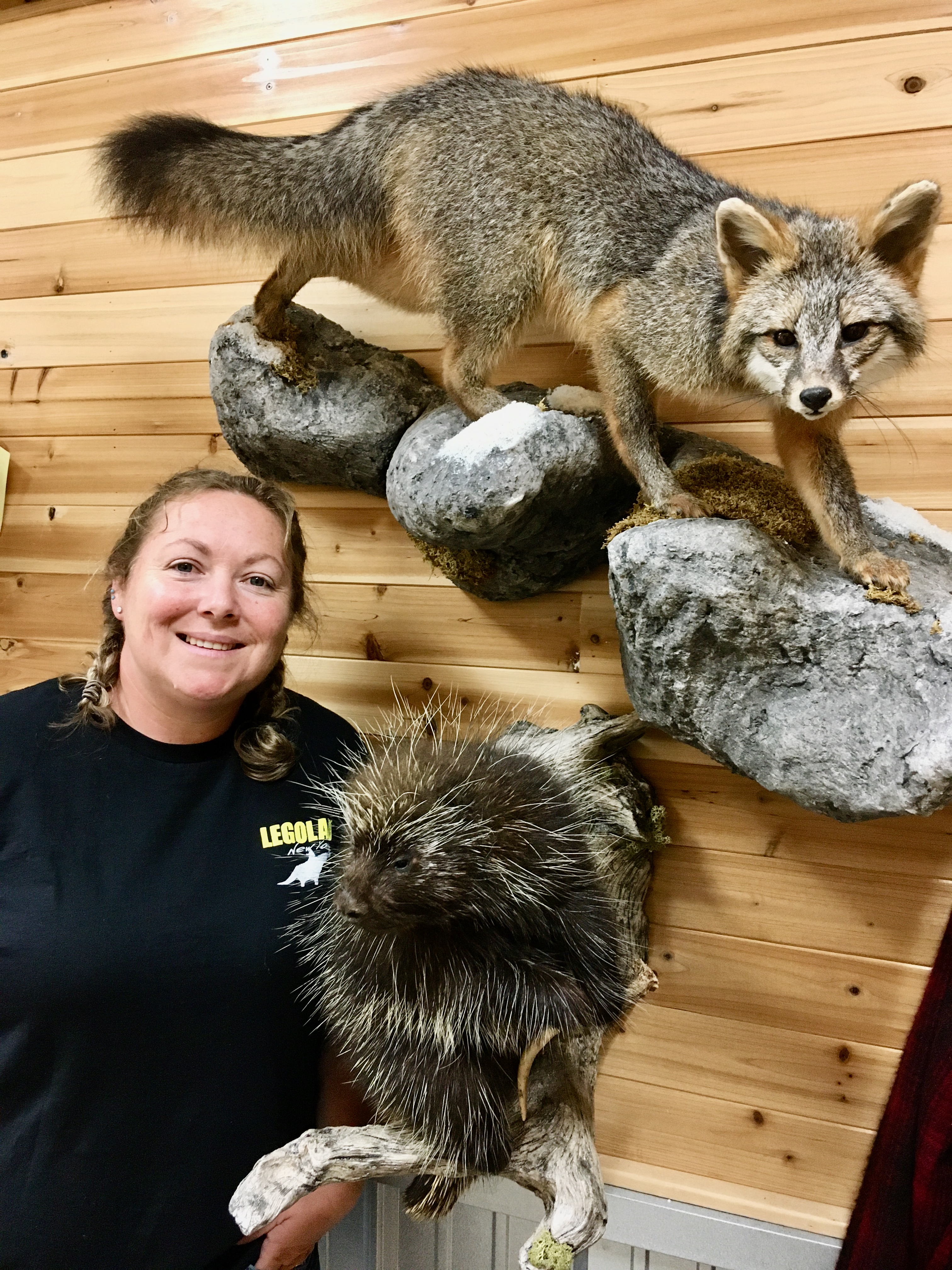 Amber with fox and porcupine