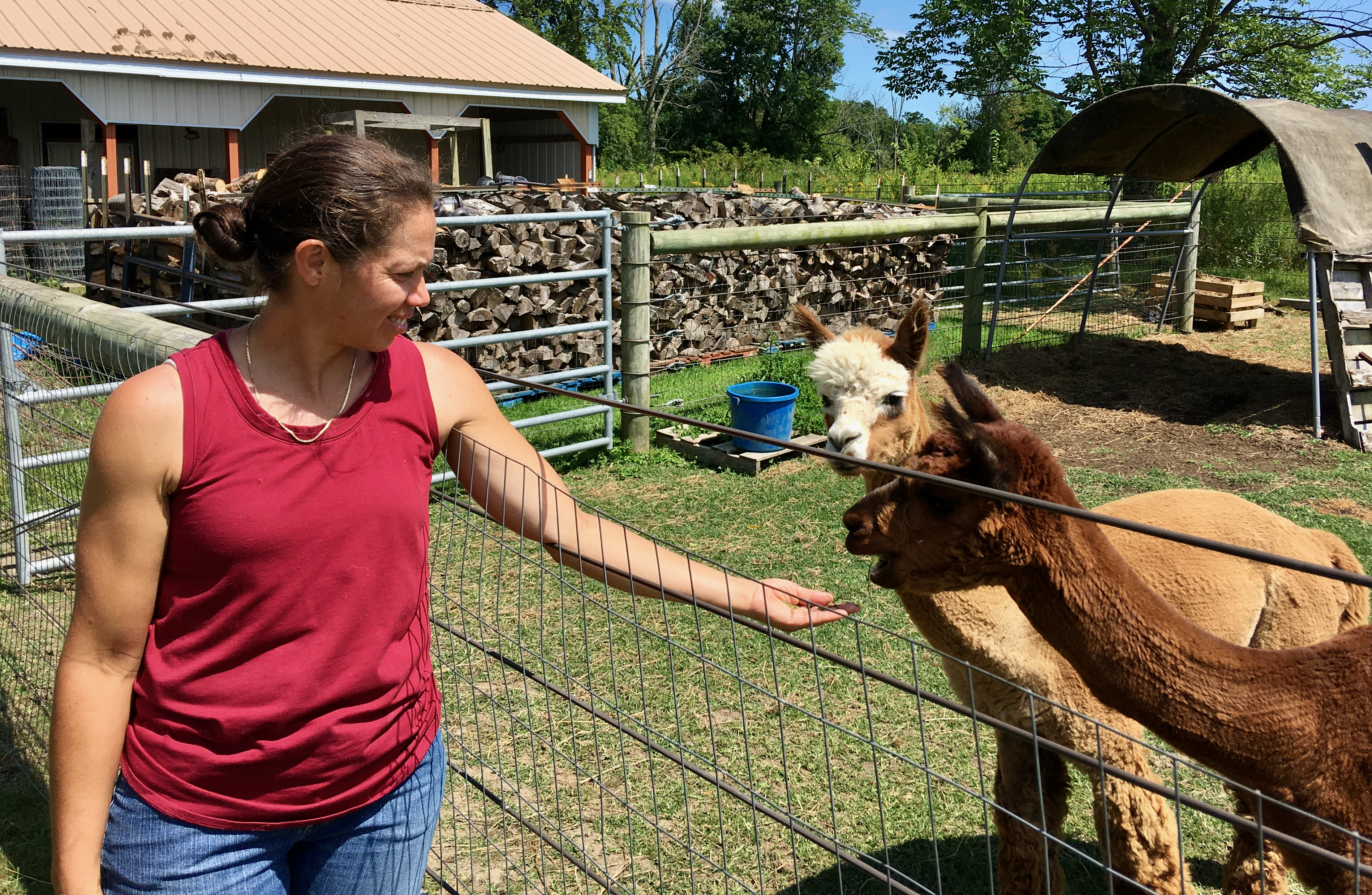 April Cox with alpacas